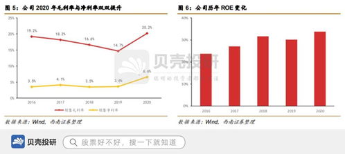 携手道达尔,深耕储能领域,天能股份综合实力强劲