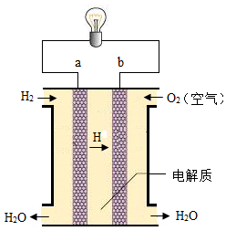 目前,一种新型燃料电池--氢氧燃料电池广泛运用于氢能源汽车。如图是一种氢氧燃料电池的示意图,请回答下列问题: