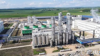 订单里的黄金周 | 农产品深加工企业开足马力赶订单